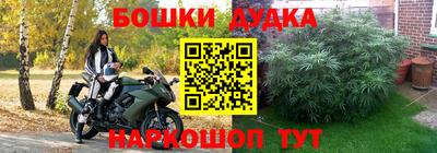 шишки Славянск-на-Кубани