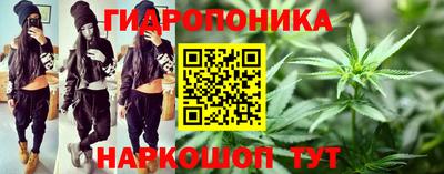 шишки Славянск-на-Кубани