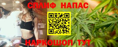 шишки Славянск-на-Кубани