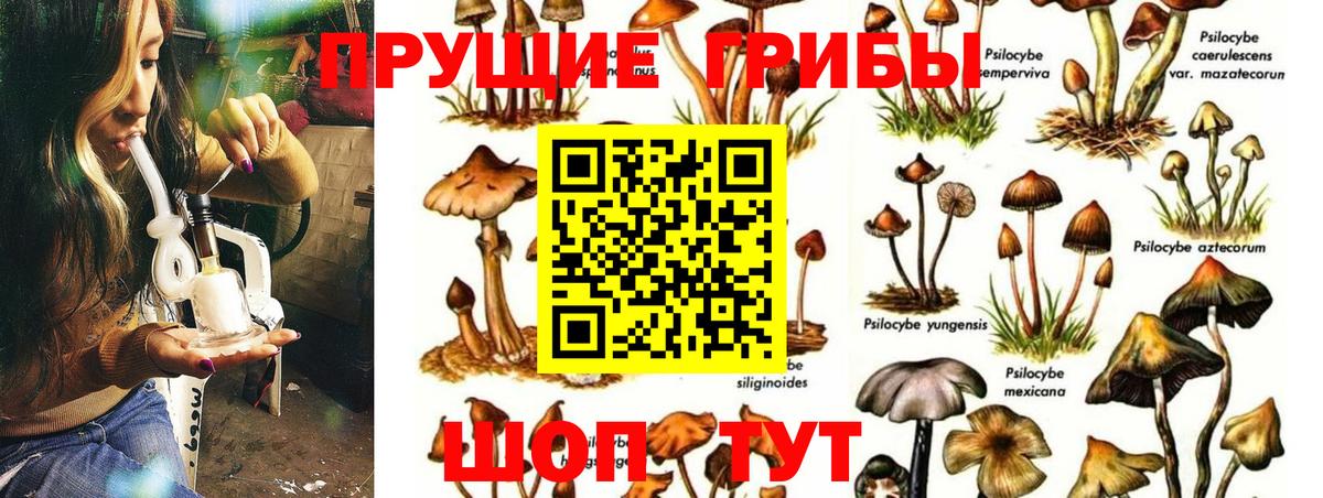 ЭКСТАЗИ  Гашиш  Cocaine  Вход с VPN  Меф МЯУ МЯУ кристаллы  Полевской  Каннабис  ГАШ  A-PVP СОЛЬ  
