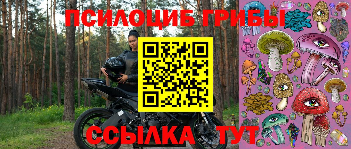 Псилоцибиновые грибы прущие грибы  Галлюциногенные грибы Psilocybe  Вход с VPN  Полевской 
